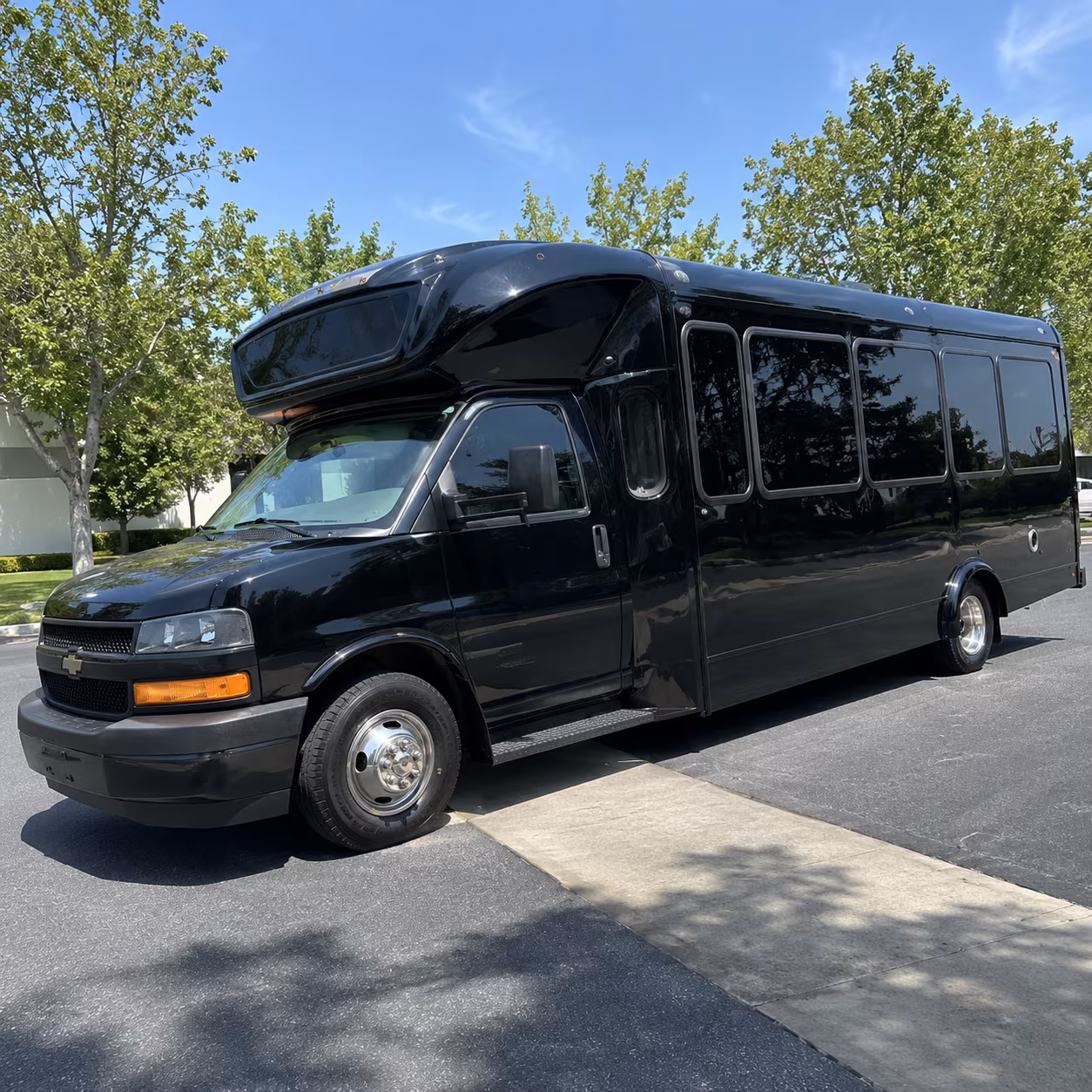 rochester hills 15 passenger party bus