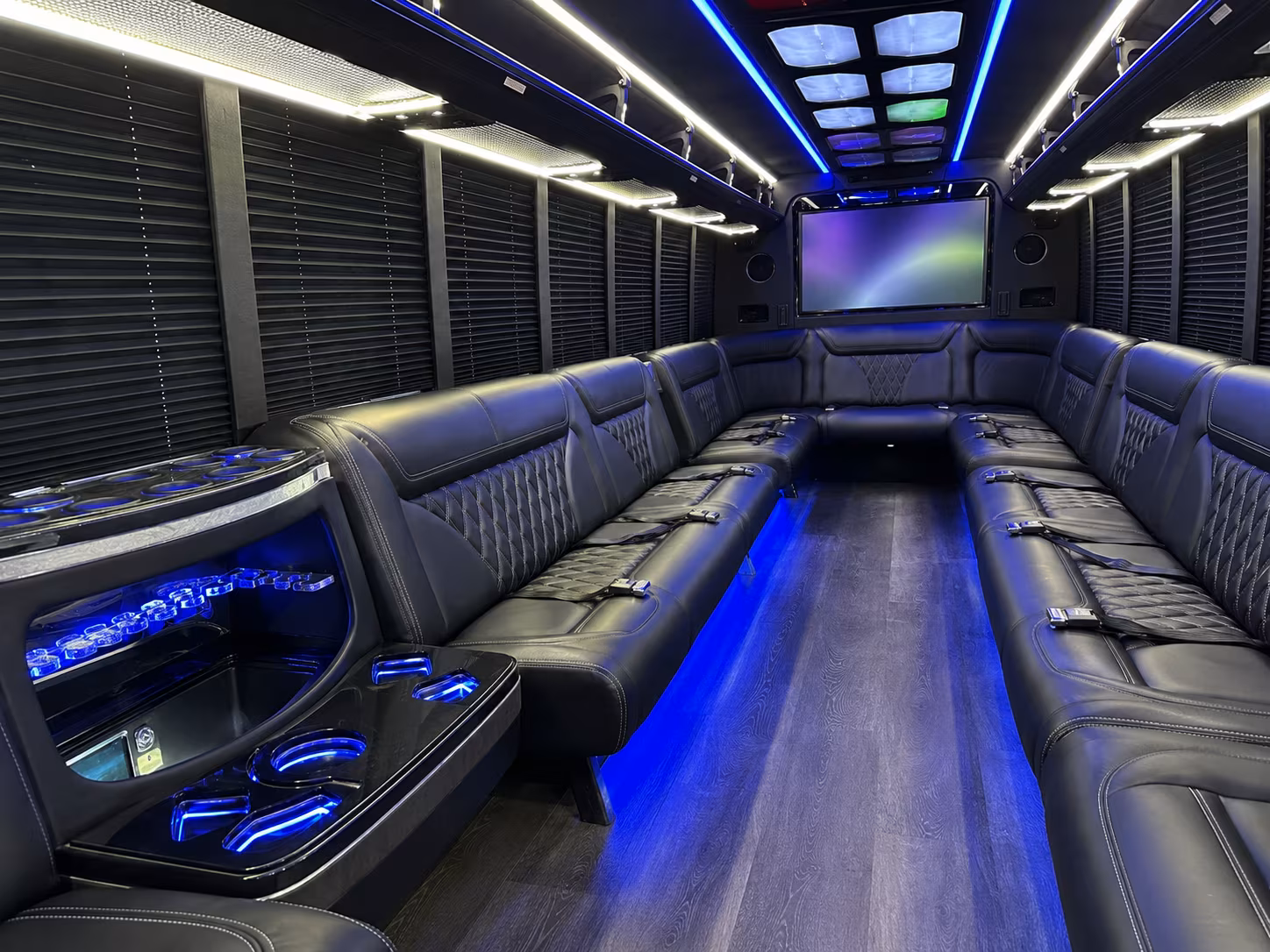 rochester hills 20 passenger party bus inside
