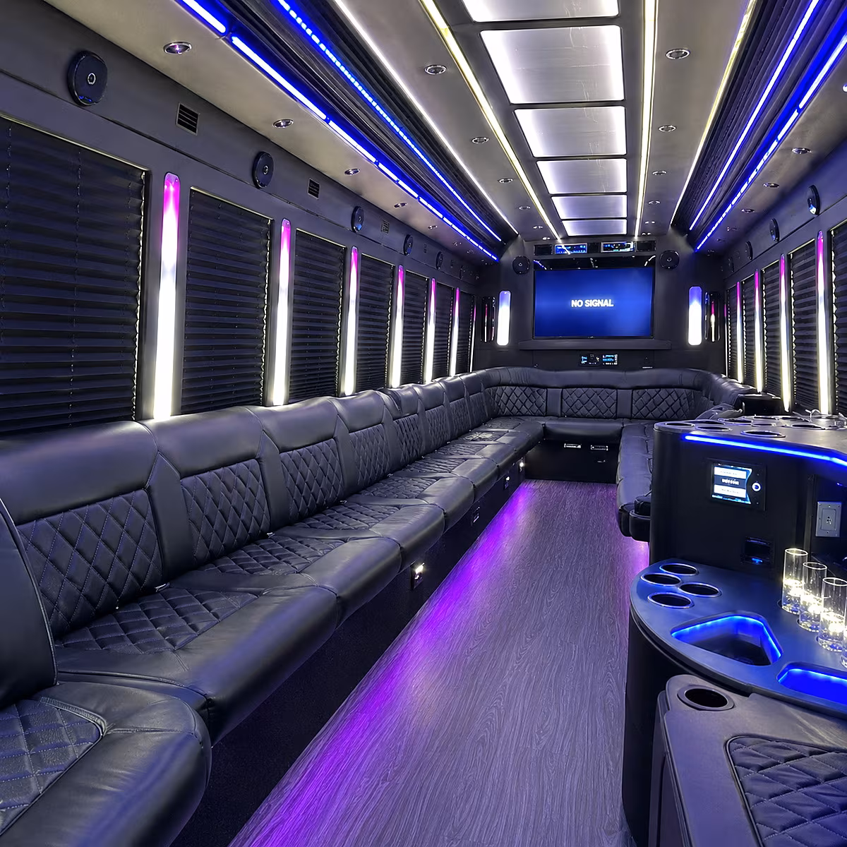 rochester hills 30 passenger party bus inside