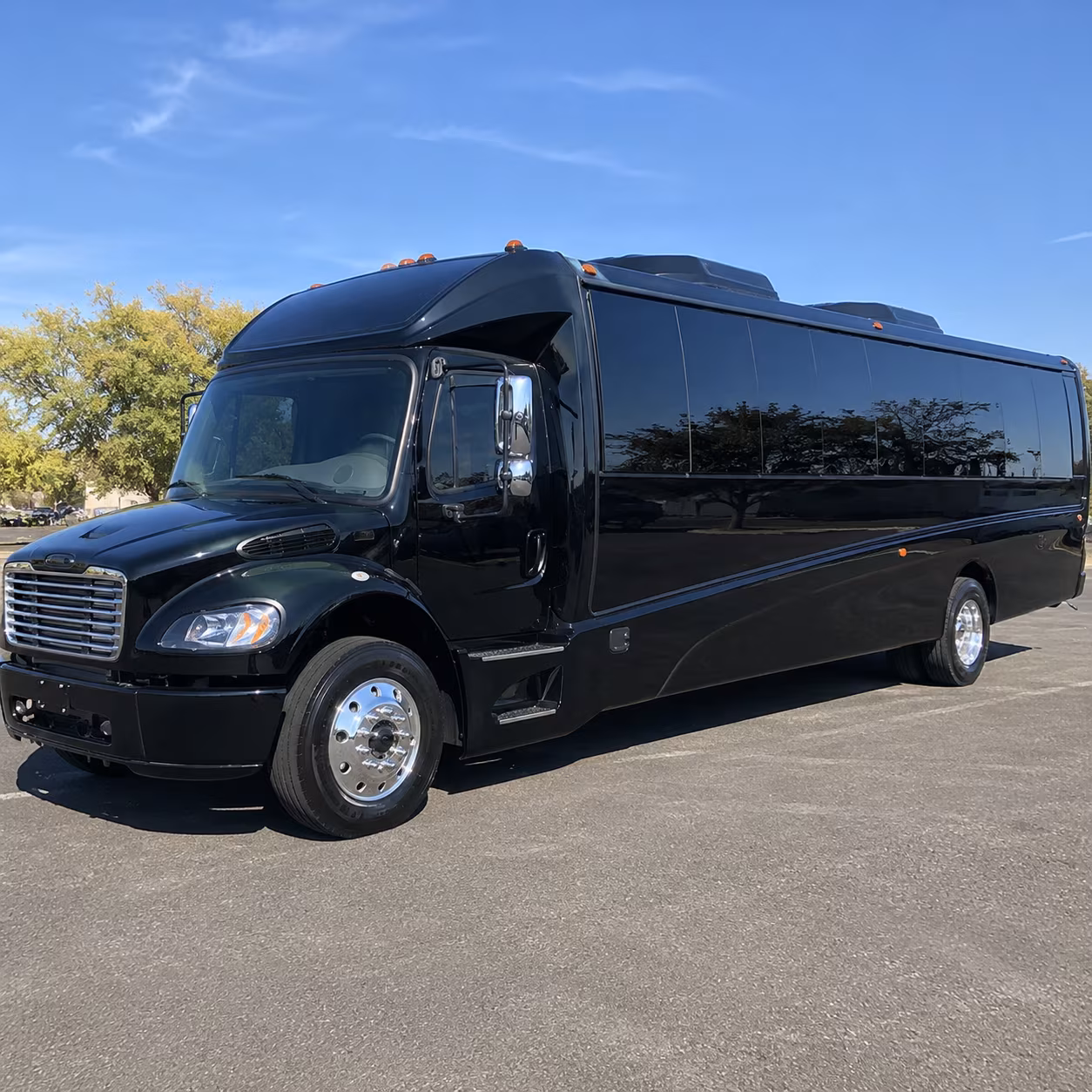 rochester hills birthday party transportation onboard