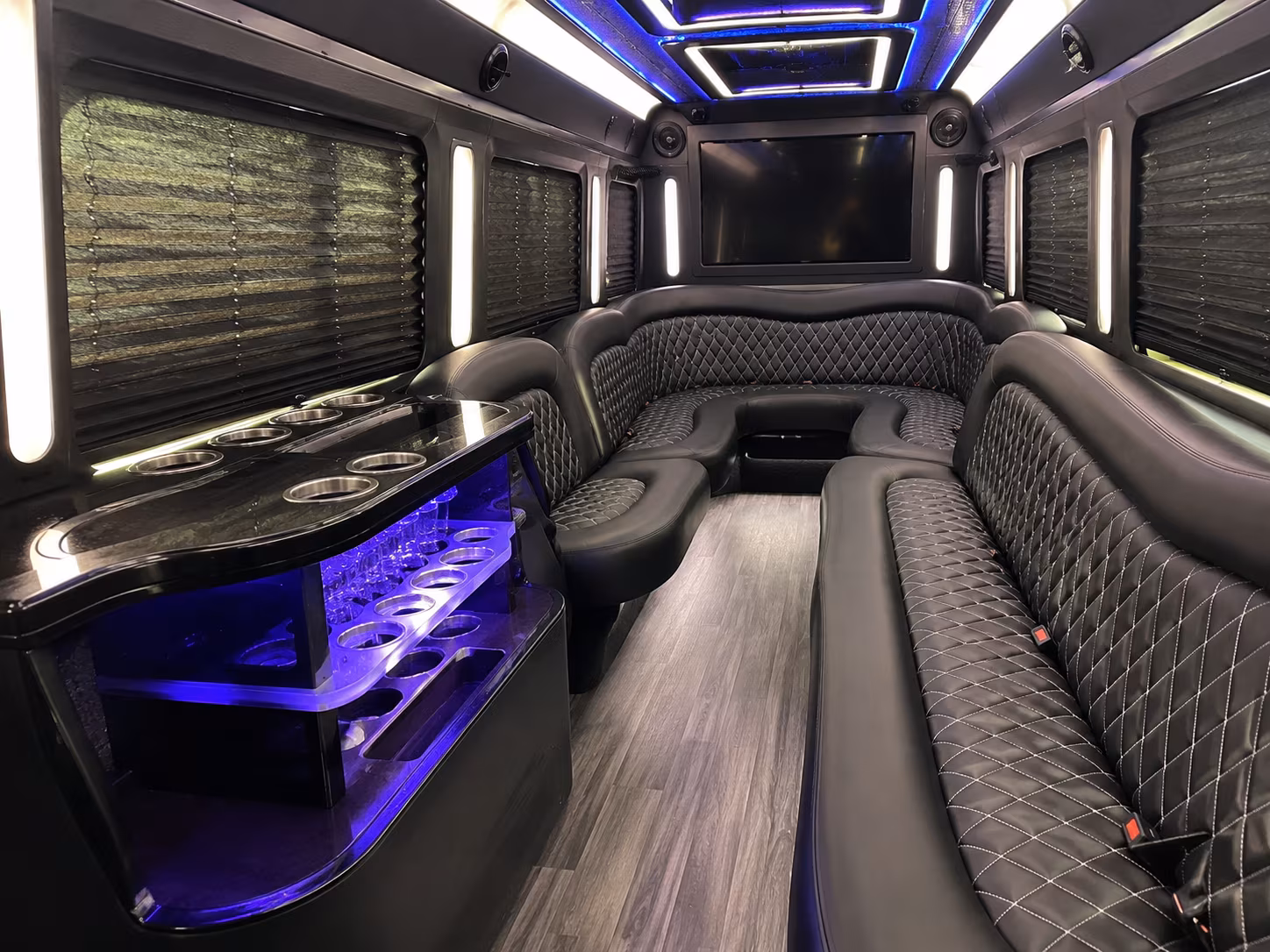 rochester hills night town party bus rental